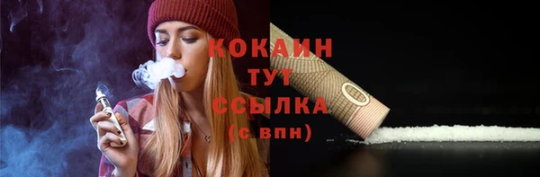 спайс Алексин