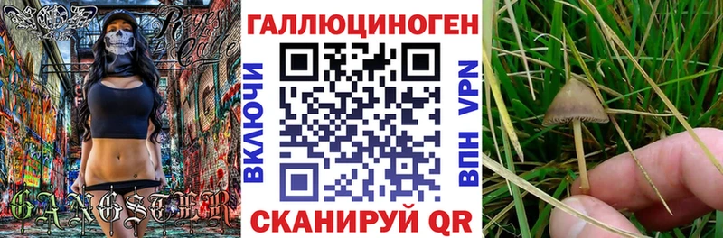 Галлюциногенные грибы GOLDEN TEACHER Ивдель